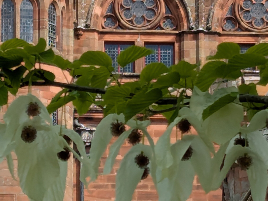Mount Stuart-Rothesay必去景点