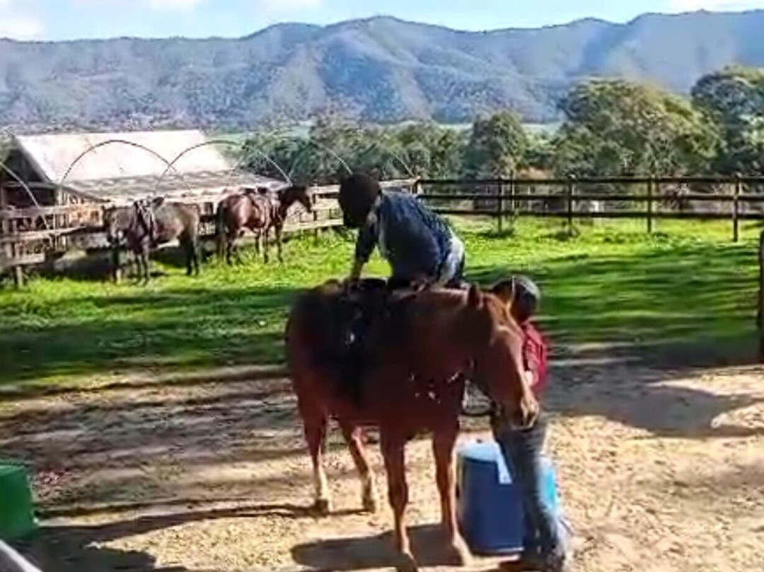 Bogong Horseback Adventures-Tawonga必去景点