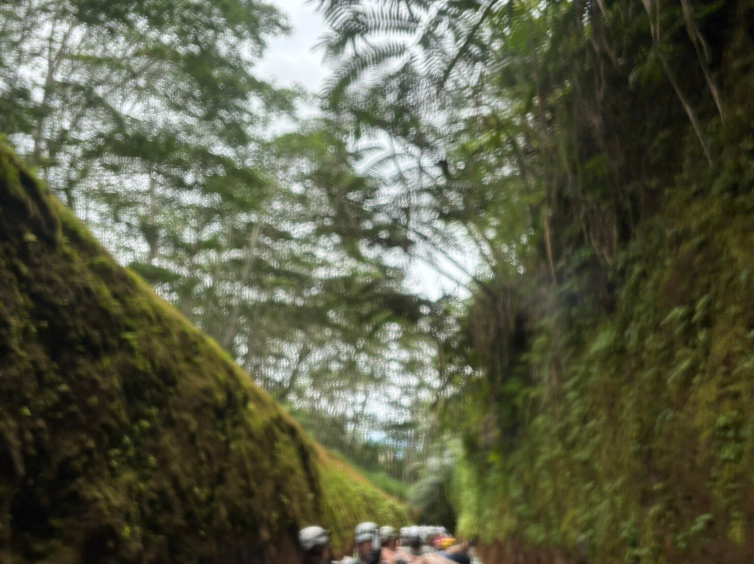 Kauai Backcountry Adventures-哈纳玛鲁必去景点