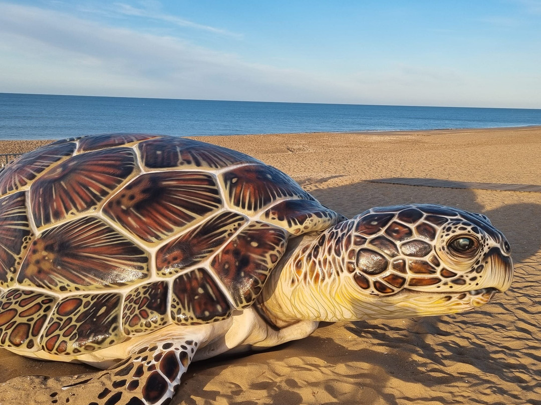 Playa de Islantilla-Islantilla必去景点