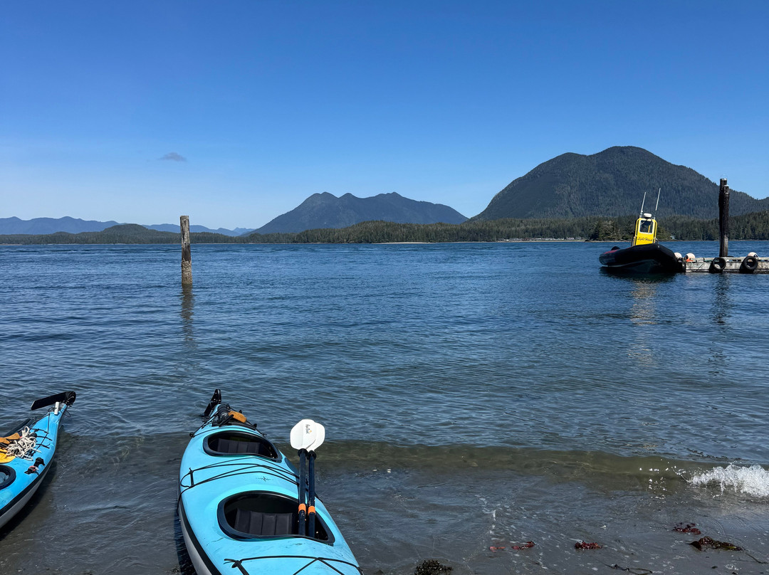 Remote Passages Marine Excursions-托菲诺必去景点