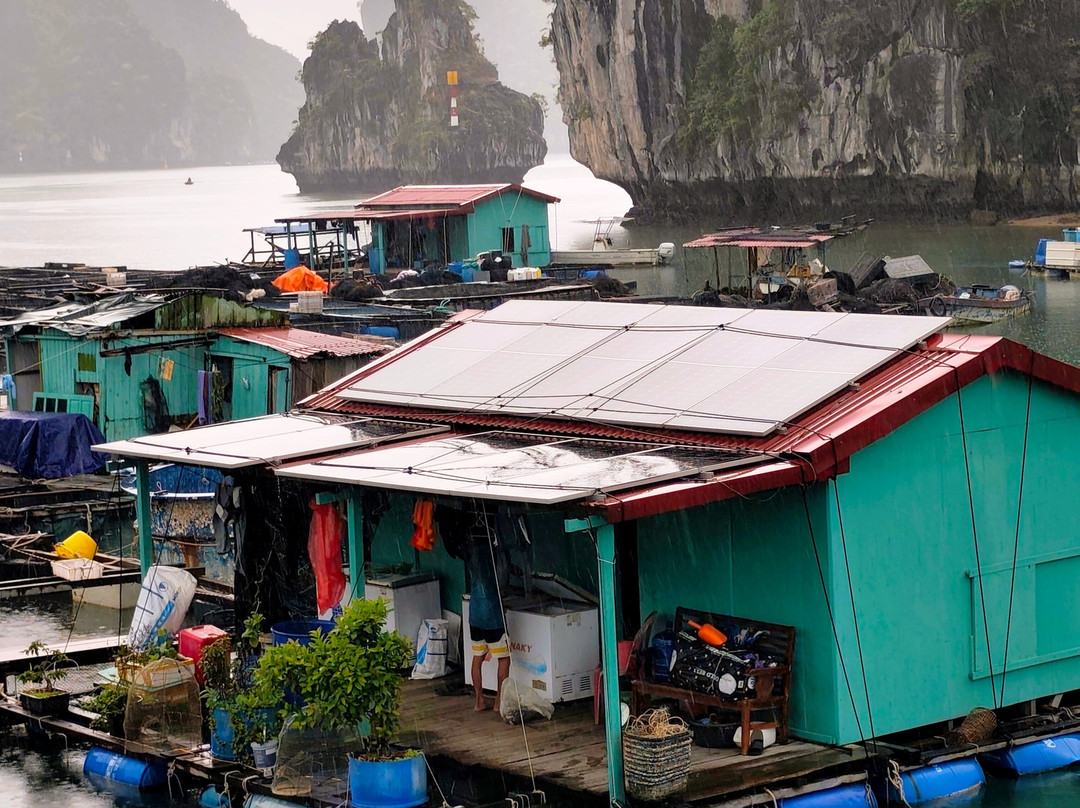 Cat Ba Green Trail Travel-Cat Ba Town必去景点
