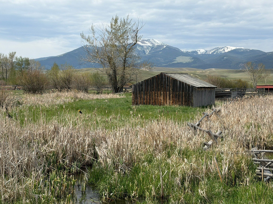 Grant-Kohrs Ranch - National Historic Site-Deer Lodge必去景点