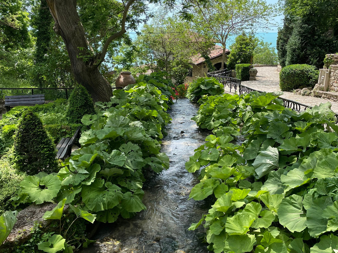 Botanical Garden Ecopark-瓦尔纳必去景点