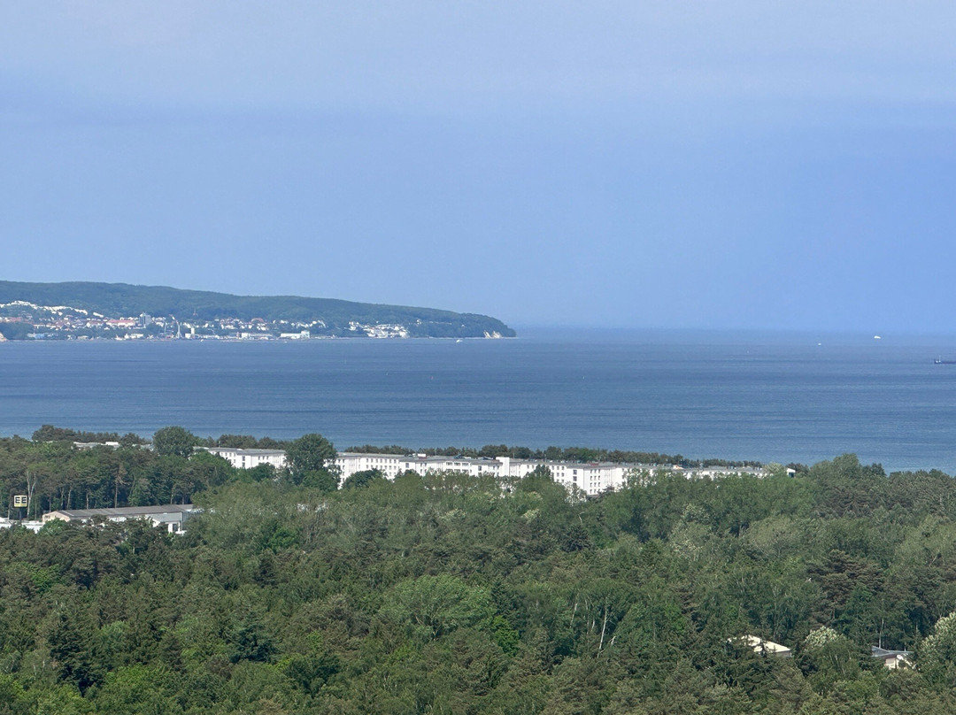 Baumwipfelpfad im Naturerbe Zentrum Rügen-奥茨巴德宾兹必去景点