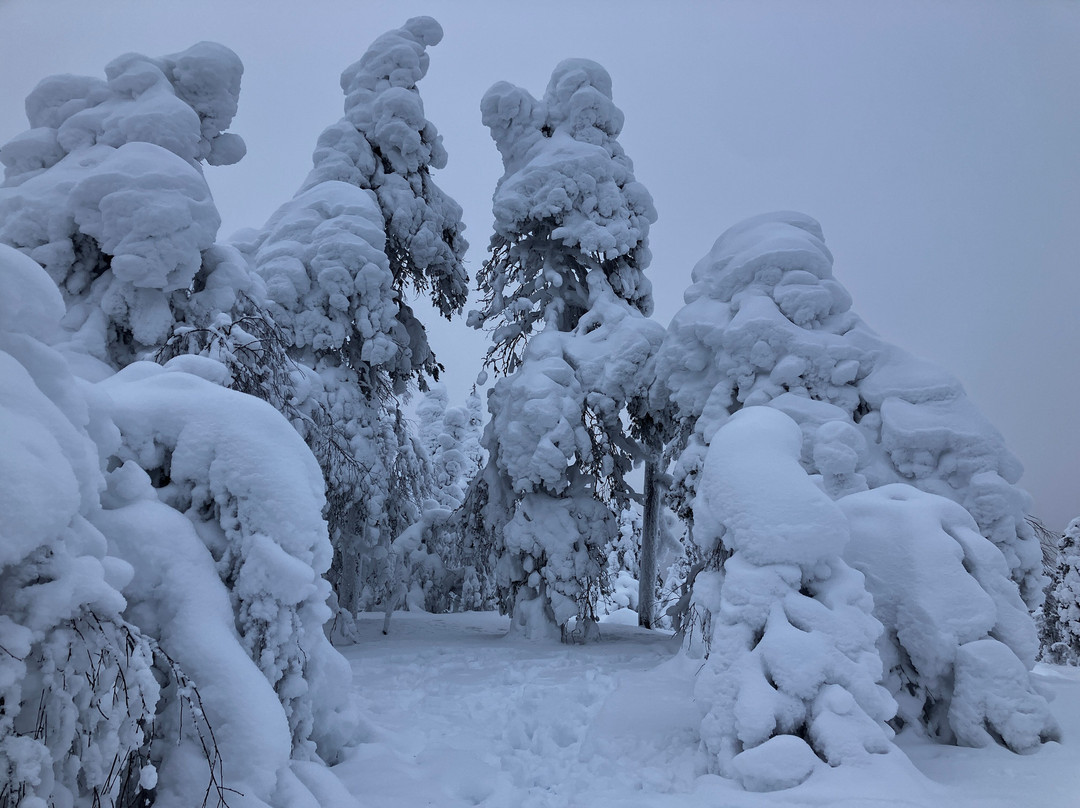 Amethyst Mine, Pyhä-Luosto, Lapland-Luosto必去景点