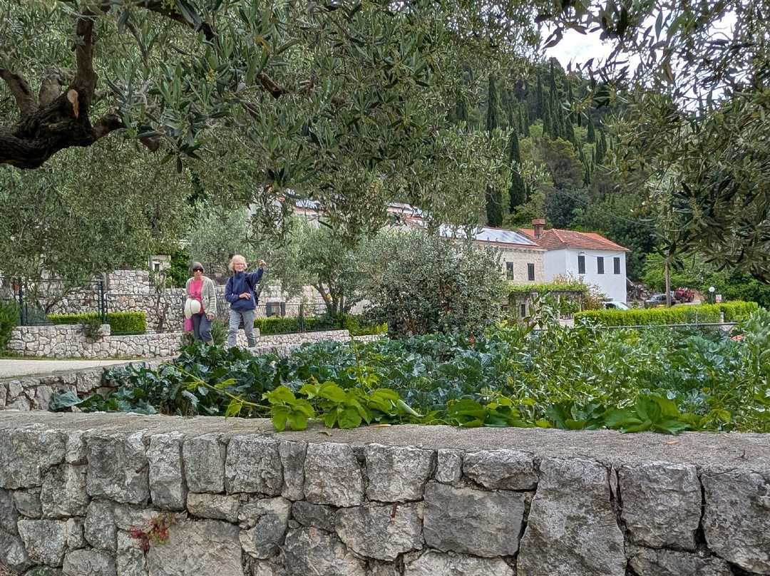 Kameni Dvori B&B主图