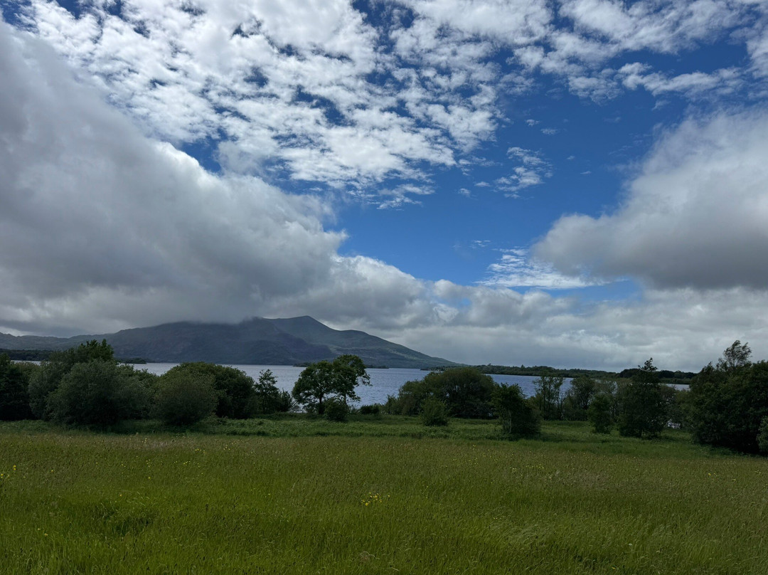 Muckross Abbey-基拉尼必去景点