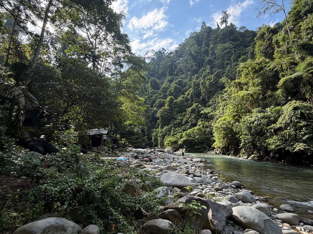Bukit Lawang Trekking-武吉拉旺必去景点