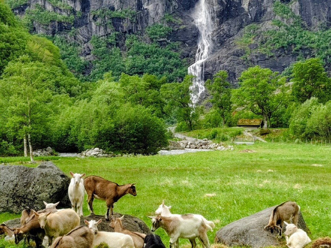Briksdal Glacier (Briksdalbreen)-Stryn必去景点