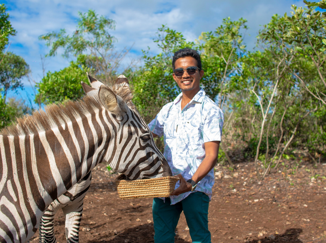 Zakir Wildlife and Resort
