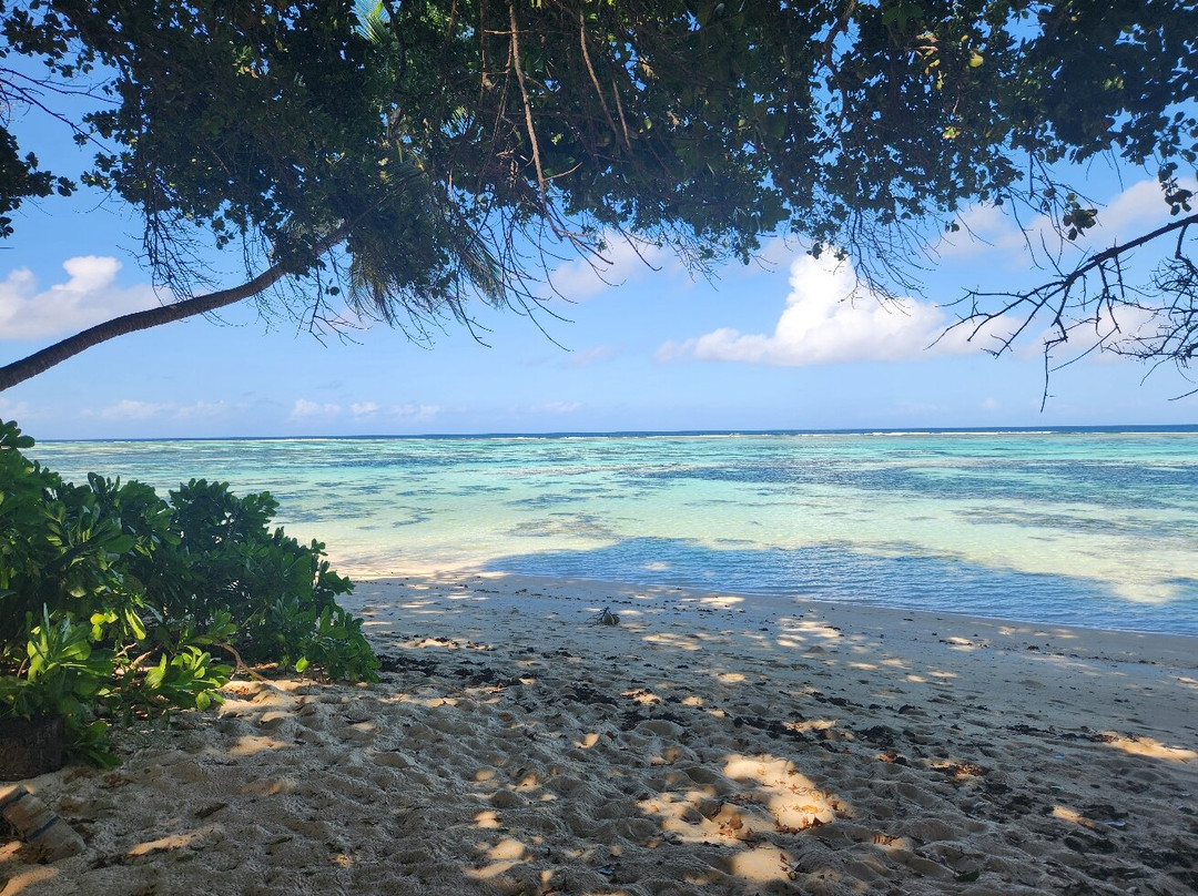 Petite Anse-拉迪格岛必去景点