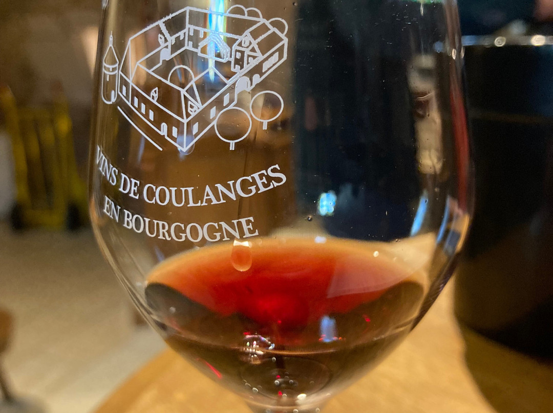 Domaine Borgnat-Escolives-Sainte-Camille必去景点