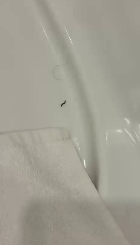 贝斯特韦斯特特米纳斯酒店主图