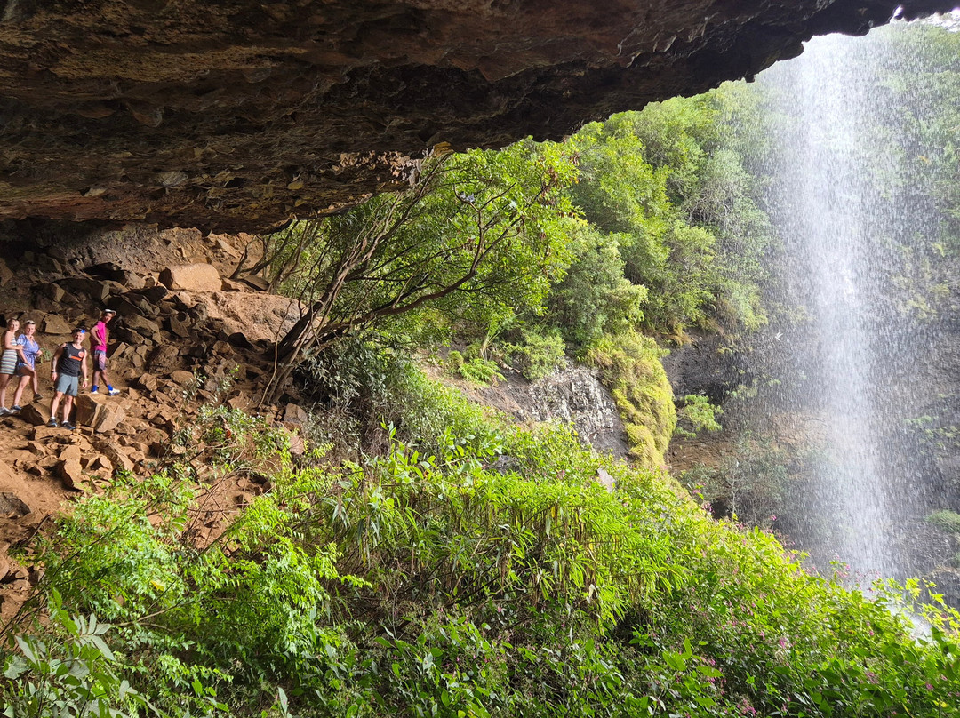 Tamarin Falls-Vacoas-Phoenix必去景点