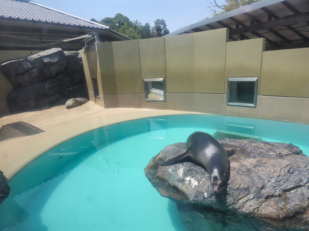 Miyajima Public Aquarium-廿日市市必去景点