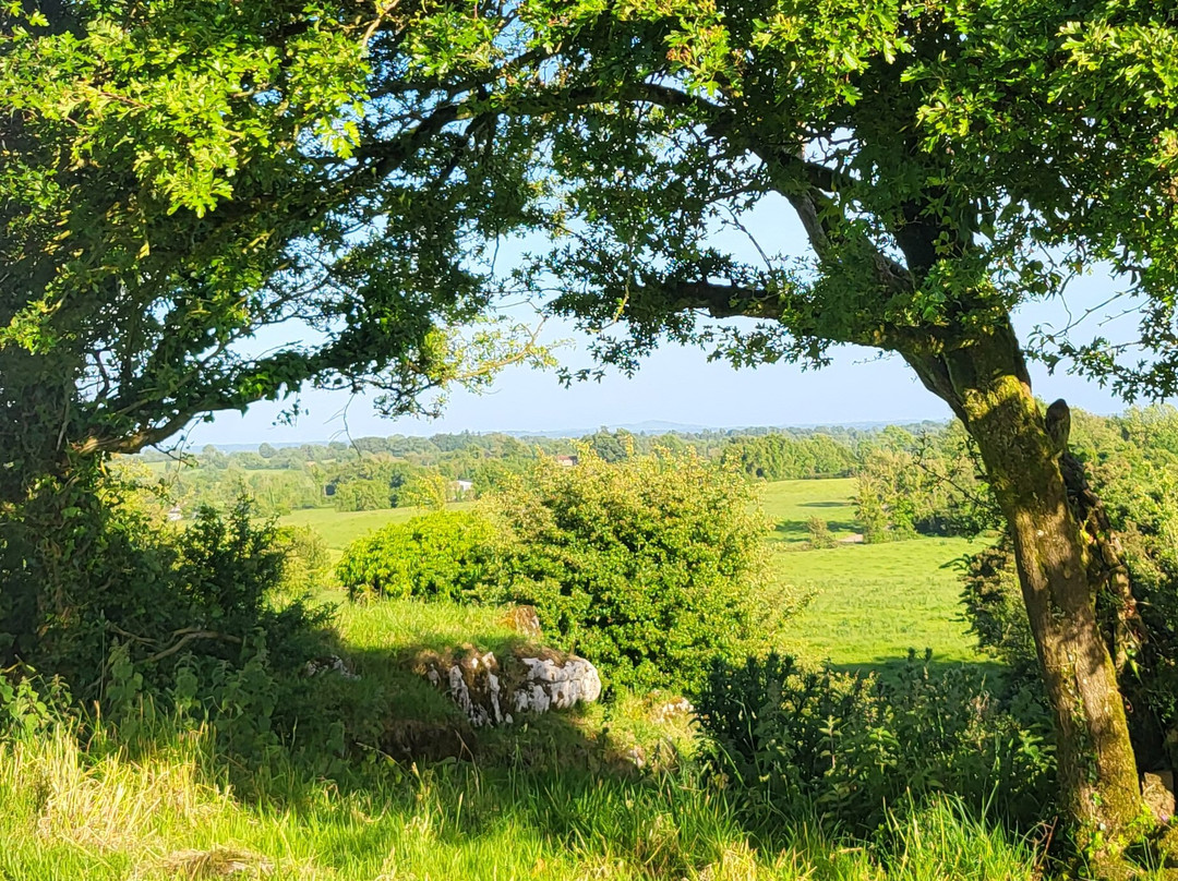 Hill of Uisneach-Killare必去景点