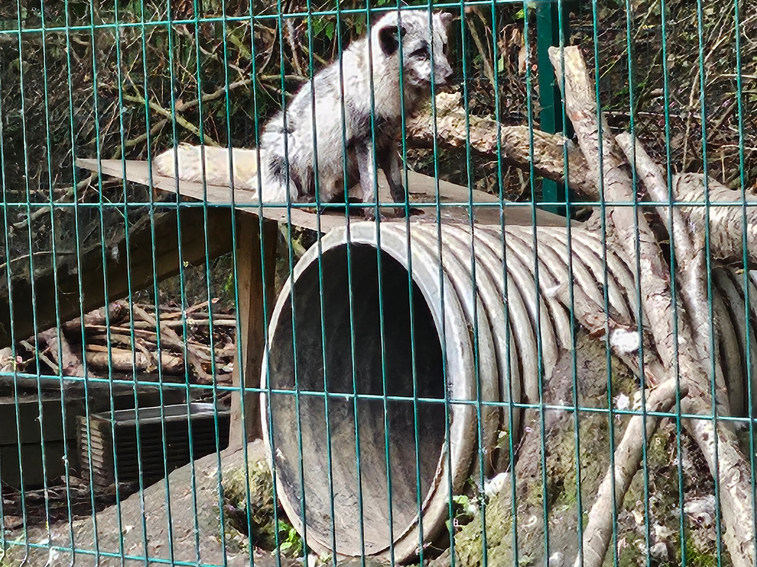 Ponderosa Zoo-Heckmondwike必去景点