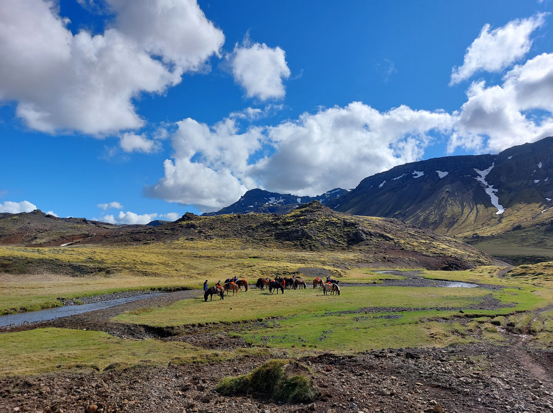 Eldhestar Volcano Horses-Olfus必去景点