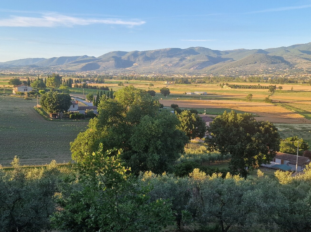 Agriturismo i Mille Ulivi主图