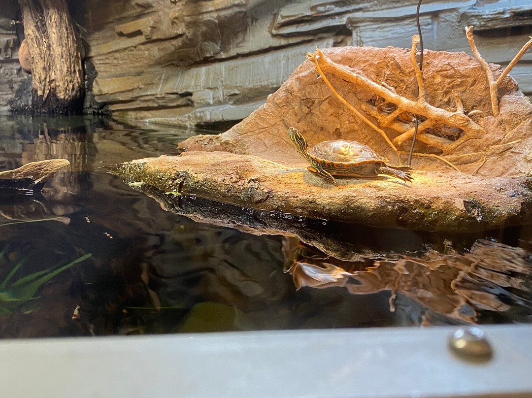 Lake District Coast Aquarium-Maryport必去景点