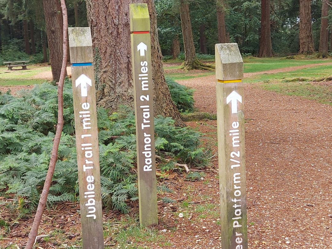 Bolderwood Deer Sanctuary-林德赫斯特必去景点