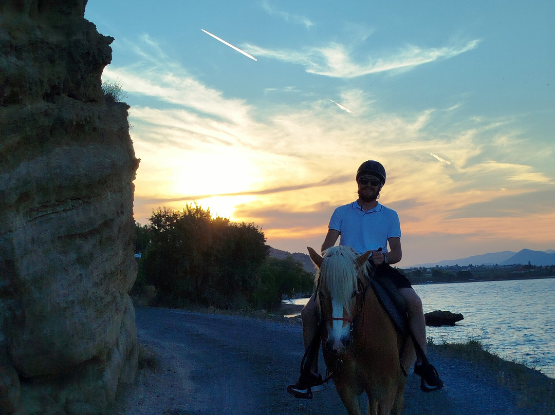 Darko World | Horse Riding Greece - Sea & Farm Experience-Livanates必去景点