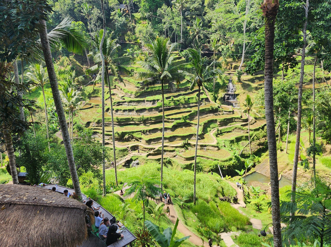 Bali and Car - Rent a car with driver-Dangin Puri必去景点