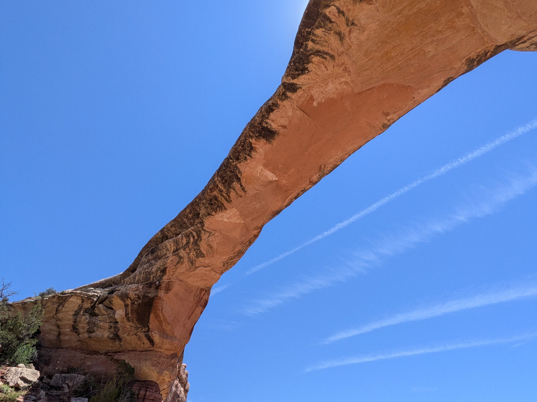 Natural Bridges National Monument-布兰丁必去景点