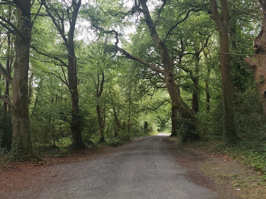 Belvedere House Gardens & Park-Mullingar必去景点