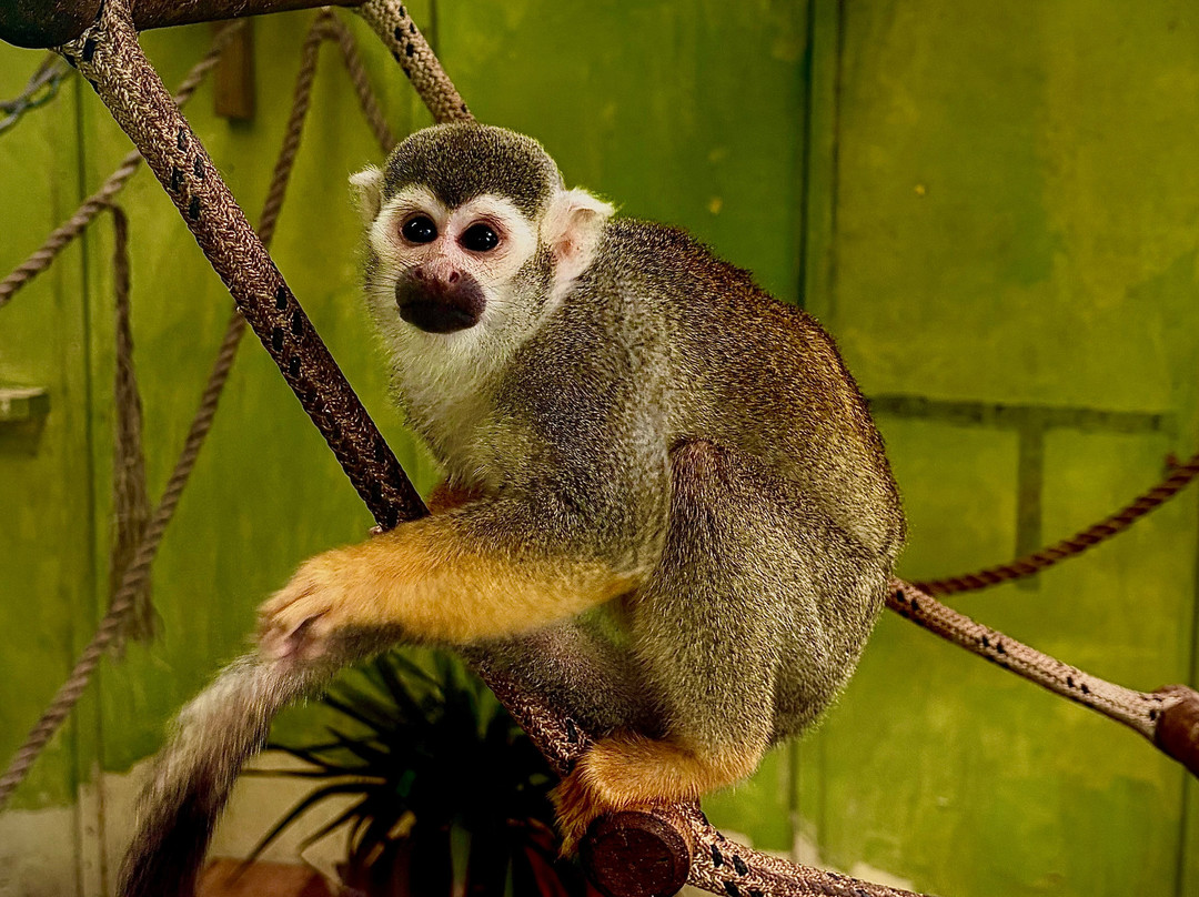 Auchingarrich Wildlife And Adventure Park-Comrie必去景点