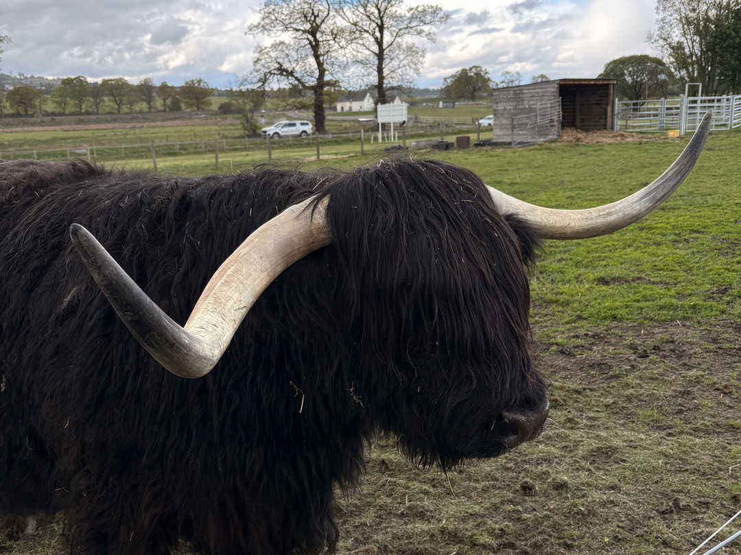 Scotland Taxi Tours-Invergordon必去景点