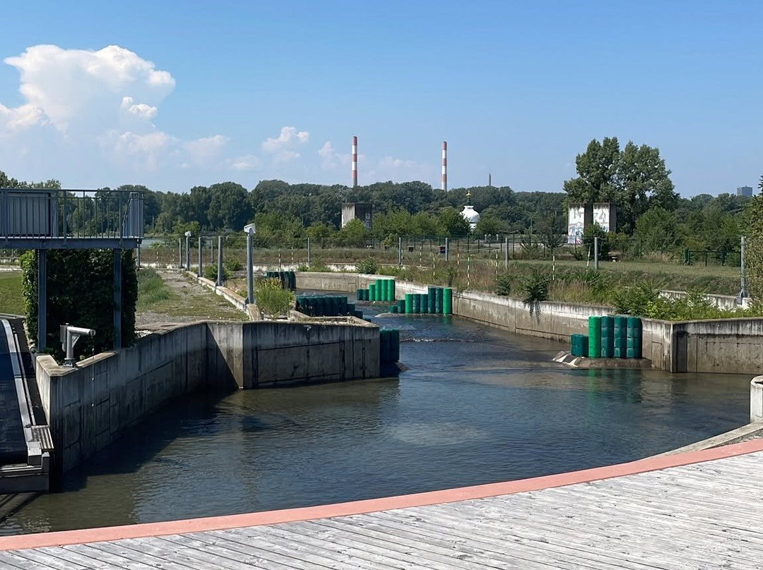 Vienna Watersports Arena-维也纳必去景点