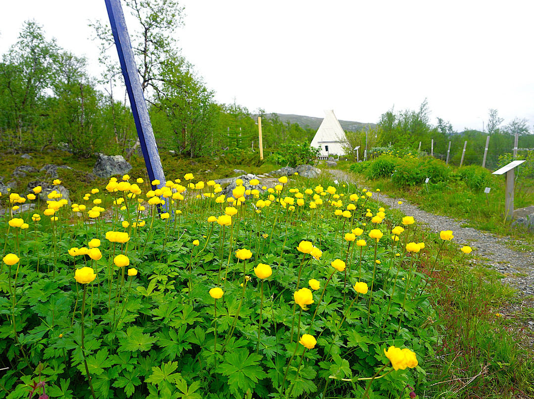 Kilpisjärven Kasvipolku