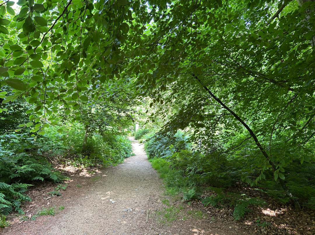 Felbrigg Hall-诺威奇必去景点