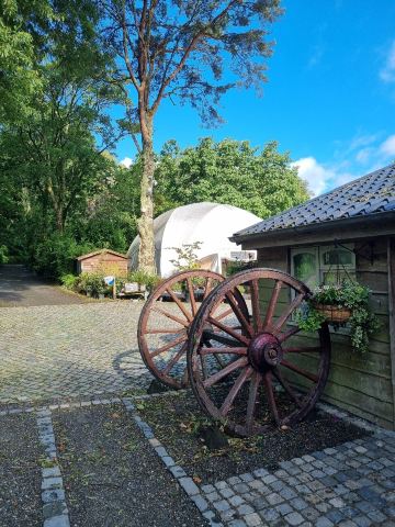 Pinetum Gardens-旅行者