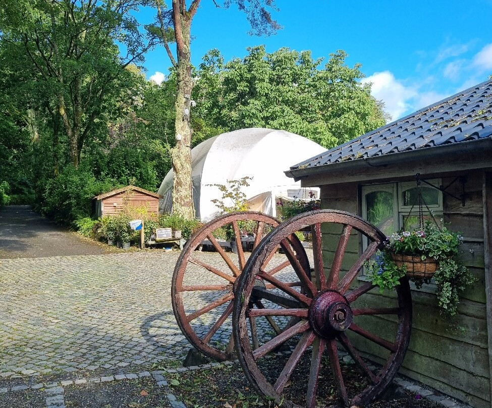 Pinetum Gardens主图