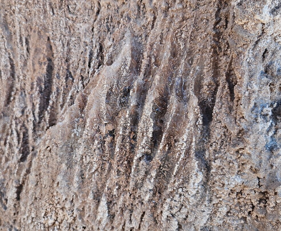 Valle De La Luna-圣佩德罗-德阿塔卡马必去景点