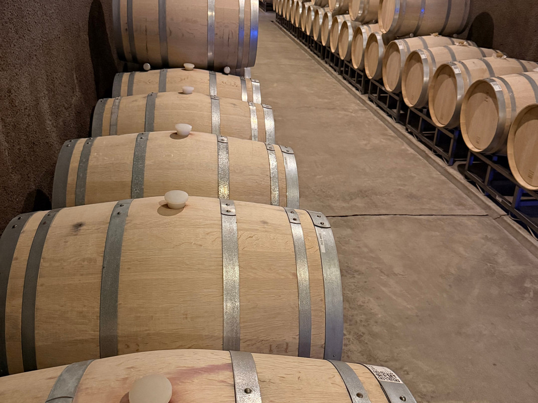 Coursey Graves Estate Winery-圣罗莎必去景点
