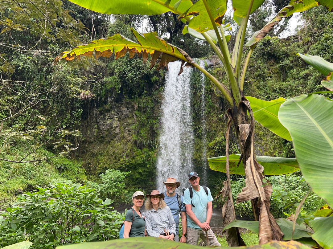 Machame Nkweshoo Cultural Tourism-莫西必去景点