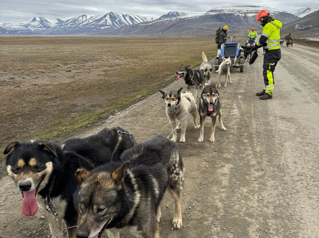 Green Dog Svalbard-朗伊尔城必去景点
