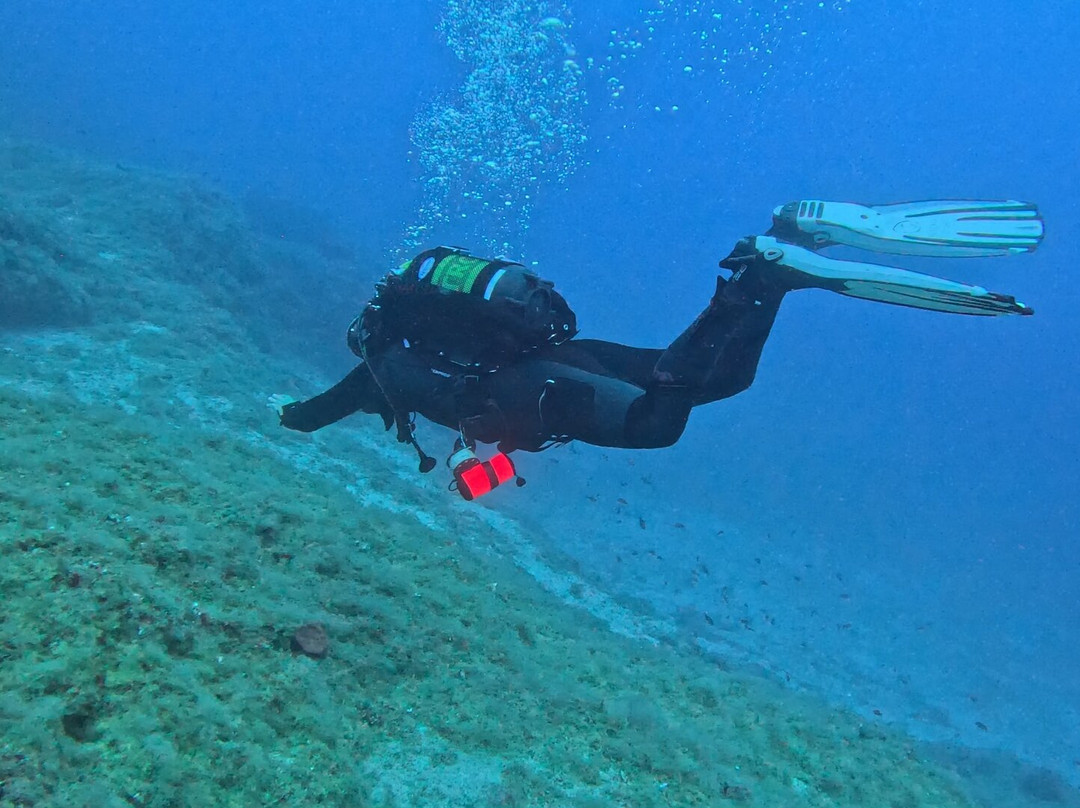 Seahorse Dive Center-瓦里必去景点