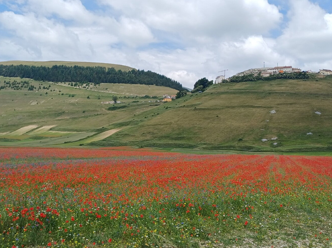 卡斯特鲁奇奥公园-Castelluccio di Norcia必去景点