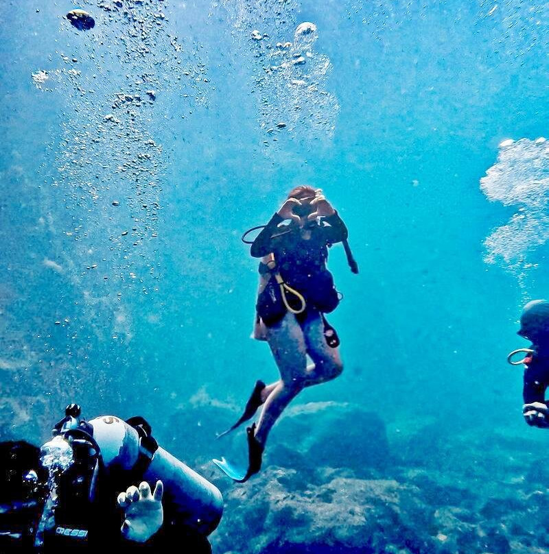 Sealion Dive Center-Los Mochis必去景点