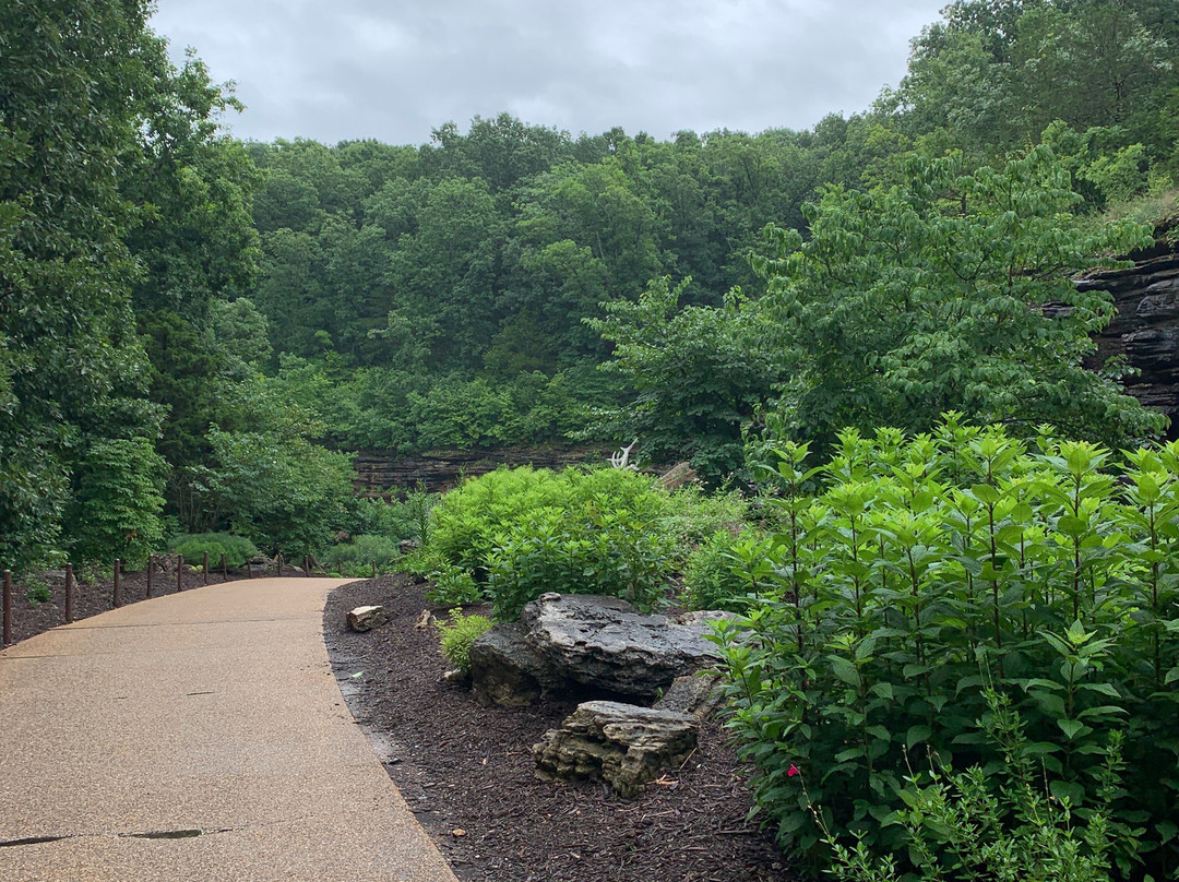 Lost Canyon Cave and Nature Trail-Ridgedale必去景点