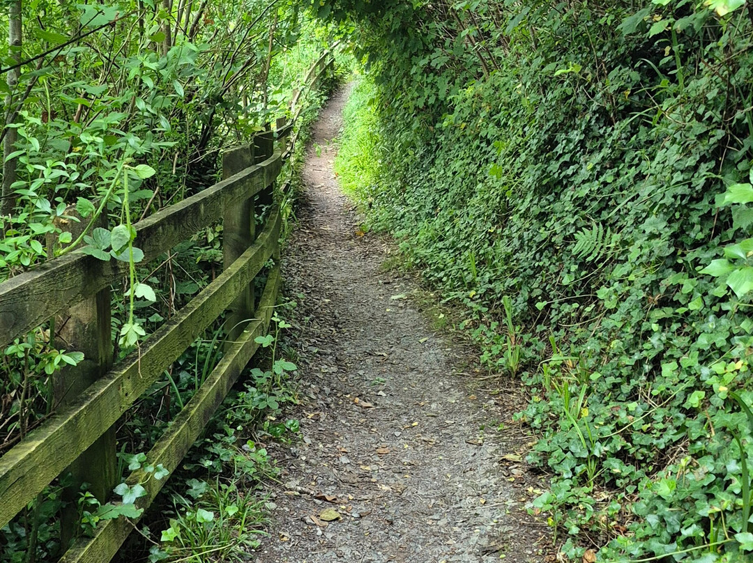 Dylan Thomas Boathouse-Laugharne必去景点