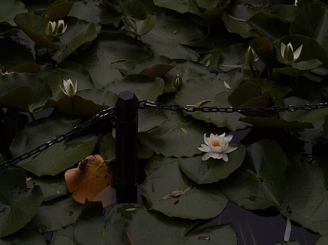 常磐公园-旭川市必去景点