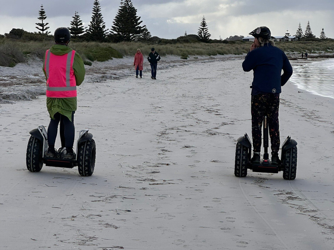 Albany Segway Tours-奥尔巴尼必去景点