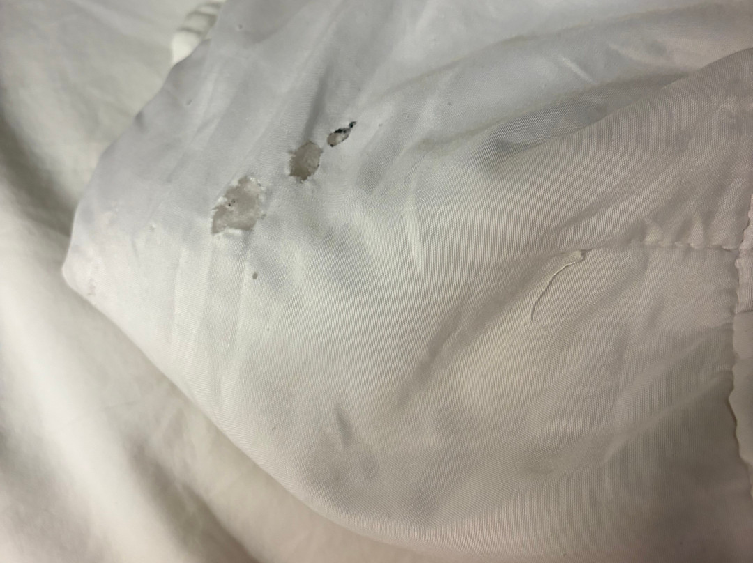 萨默塞特红屋顶酒店主图