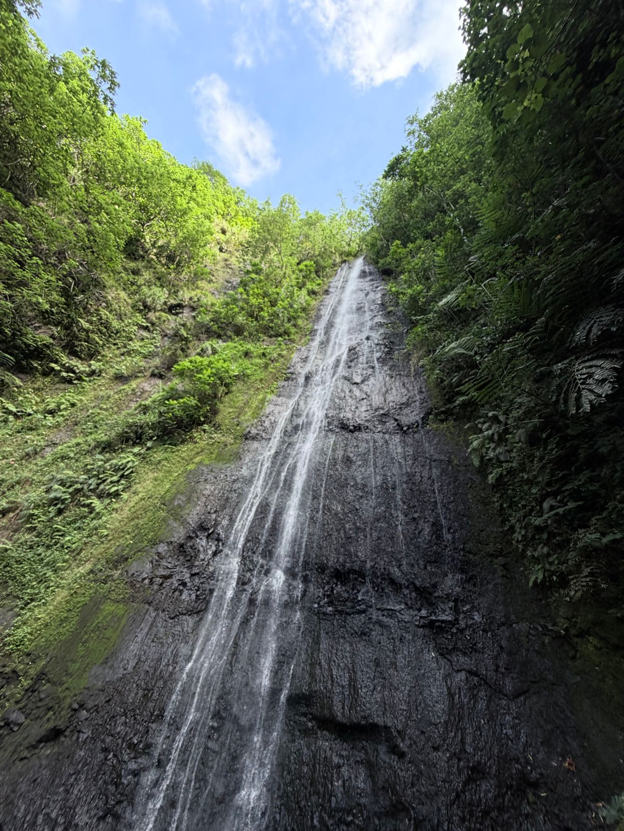 茉莉雅岛明珠水疗度假村-旅行者